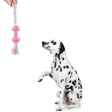 3 Pack Durable Interactive Dog Toys