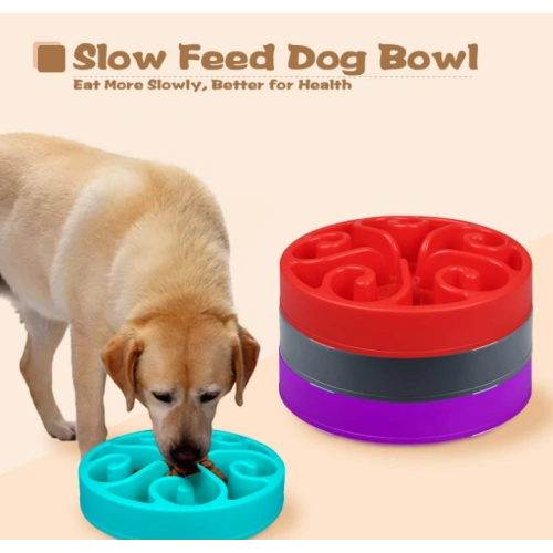 Fun Interactive Feeder Dog Bowl
