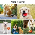 Dog Treat Dispenser Toy Ball