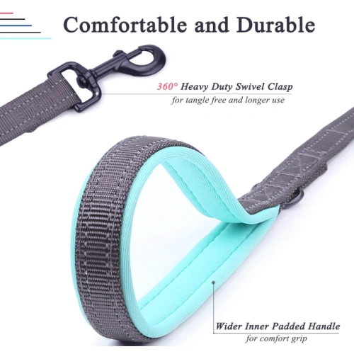 Two Handles Dog Leash