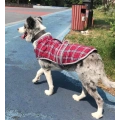 British Plaid Dog Coats for Medium Large Dogs