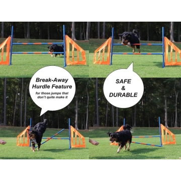 Dog Agility Jump Set