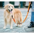 5 Ft Reflective Dog Training Leash