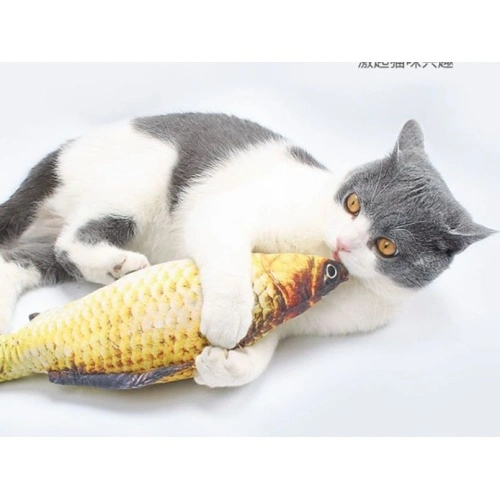 Cat Toy
