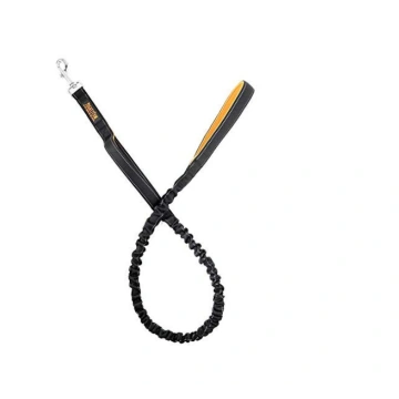 Comfortable Bungee Dog Leash