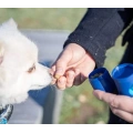 2 in 1 Dog Waste Bag Dispenser