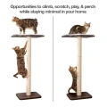 Cat Tree Scratching Posts