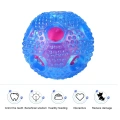 Dog Ball Toys for Pet