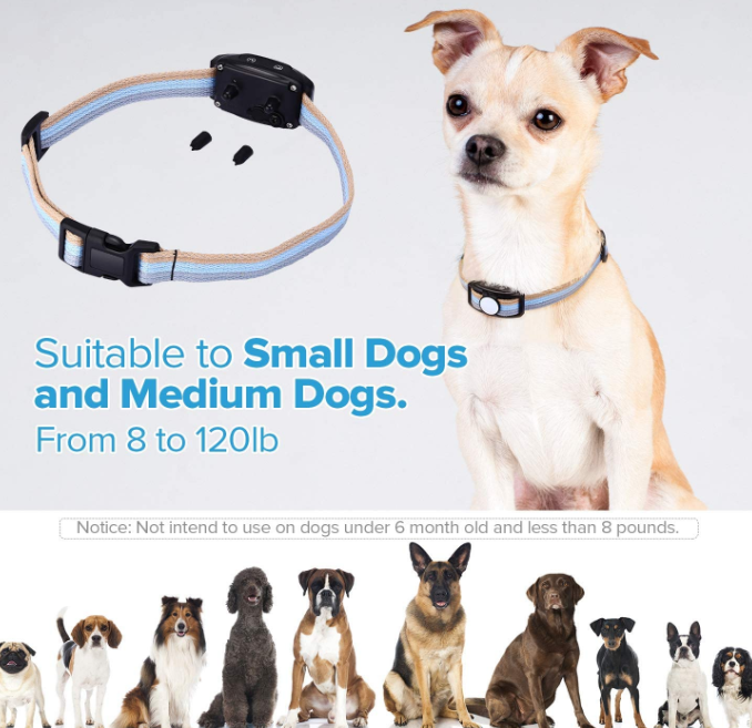 Waterproof Dog Training Collar429165250