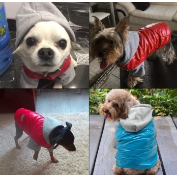 Dog Cold Weather Coat