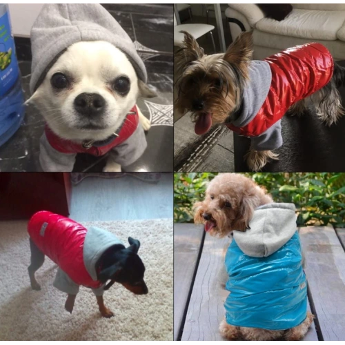 Dog Cold Weather Coat