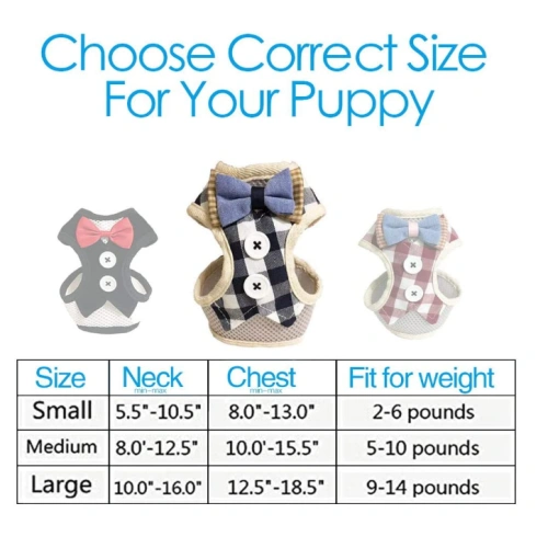 Small Puppy Harness with Bowtie