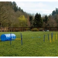 28 Piece Dog Obstacle Course for Training