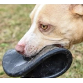 Dog Frisbee Durable Natural Rubber