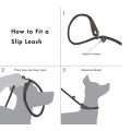 Durable Dog Slip Rope Leash