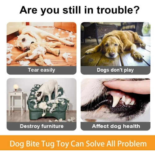 Interactive Dog Chew Toy