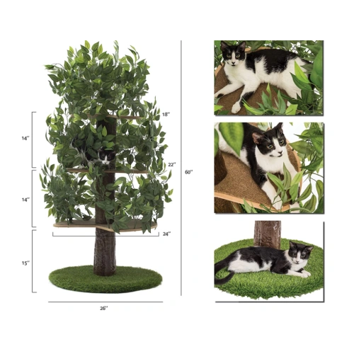 Cat Trees with Leaves