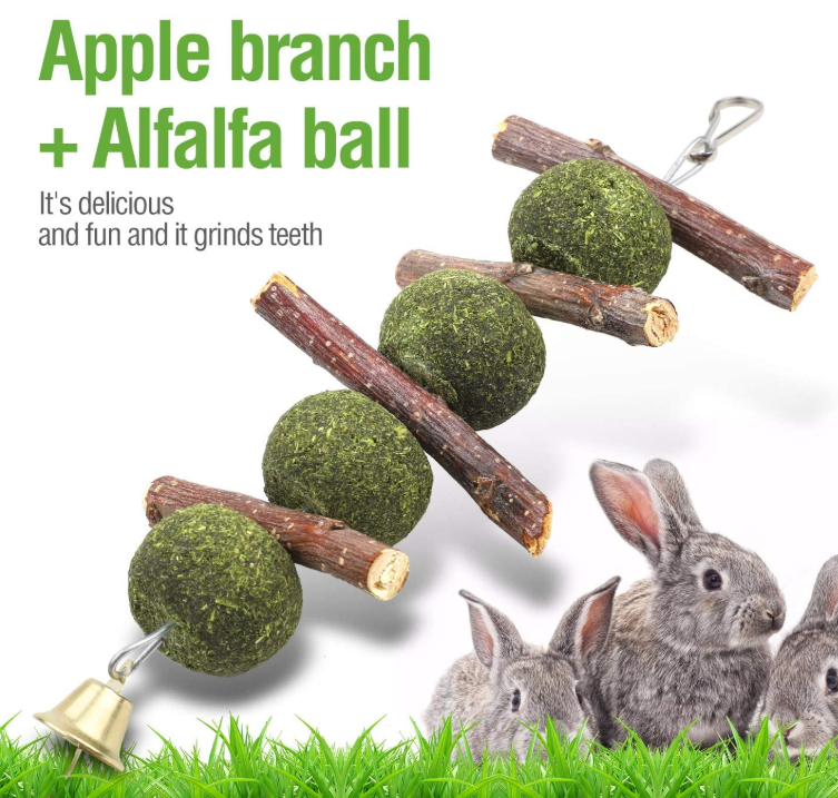 Squirrel Chew Toys