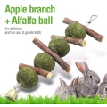 Rabbit Chew Toys Natural Organic