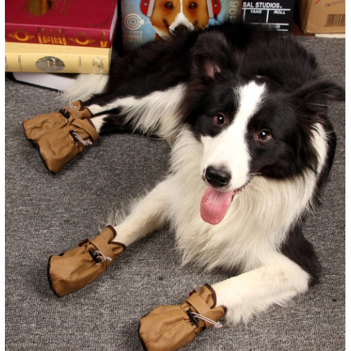 Autumn and Winter New Puppy Shoes