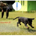 Dog Training Whistle with Clicker