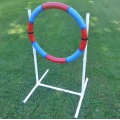 Lightweight Agility Practice Tire for dog
