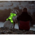USB Rechargeable No Pull Pet Vest Harness