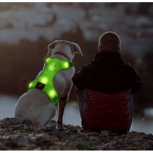 USB Rechargeable No Pull Pet Vest Harness