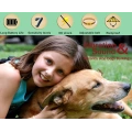 Dog Stop Barking Device