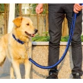 Braided Nylon Dog Leash