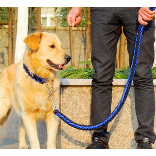 Braided Nylon Dog Leash