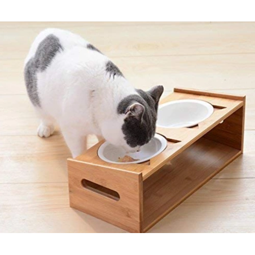 Pet Bowl With Feeding Platform