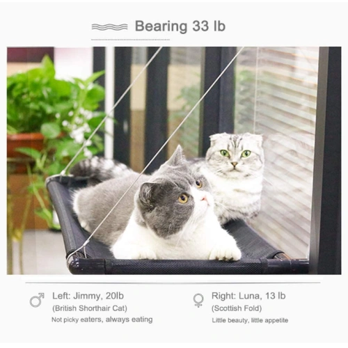 Cat Hammock Window Seat
