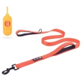 Training Walking Dog Lead
