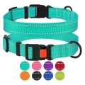 Reflective Dog Collar with Buckle