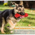 Dental Chew Toys for Dogs