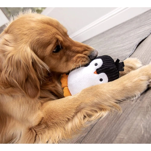 Plush Dog Toy with Silent Squeaker