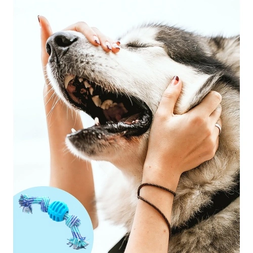 Pet Dog Chew Toy