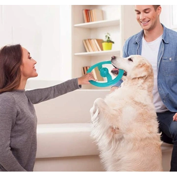 Dog Frisbee Interactive Flying Disc Pet Toys