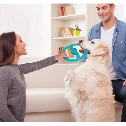 Dog Frisbee Interactive Flying Disc Pet Toys