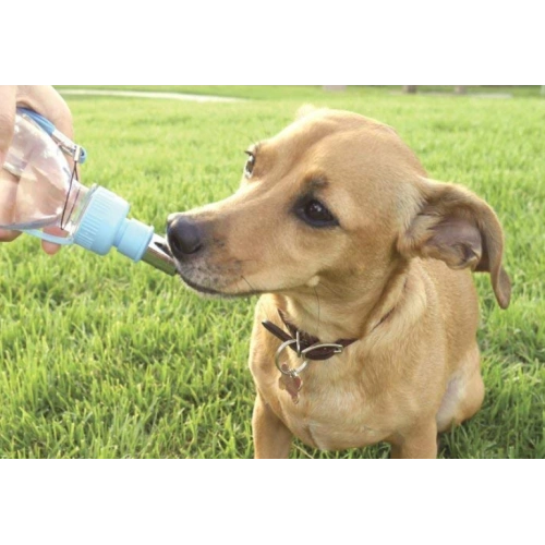 Small Animal Travel Water Bottle