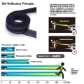 Training Walking Dog Lead