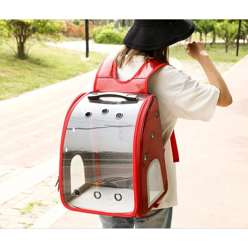 Portable Pet Stroller for Small Animals