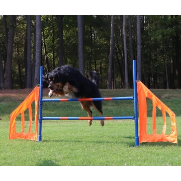 Dog Agility Jump Set