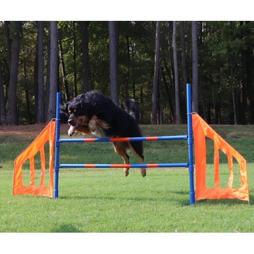 Dog Agility Jump Set