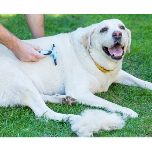 Pets Brush for Shedding