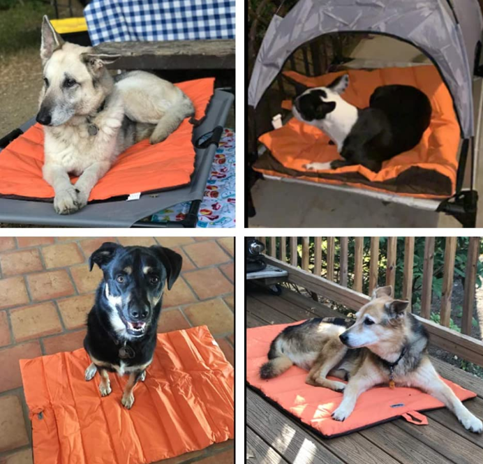 Outdoor Dog Bed