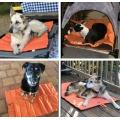 Portable and Camping Travel Pet Bed