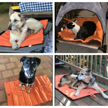 Portable and Camping Travel Pet Bed