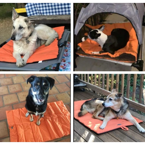 Portable and Camping Travel Pet Bed